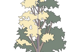简易2D树木植物SU(草图大师)素材模型