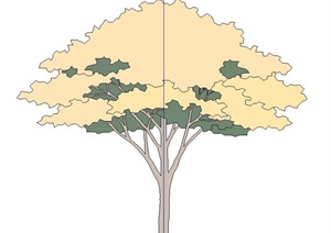 简易树木植物SU(草图大师)素材模型