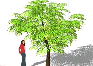 精细3D树木植物素材SU(草图大师)模型