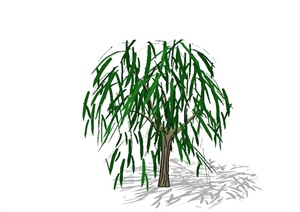 单棵景观树木植物素材设计SU(草图大师)模型