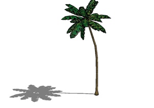经典的椰子树植物素材设计SU(草图大师)模型