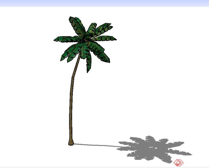 经典的椰子树植物素材设计SU模型(3)