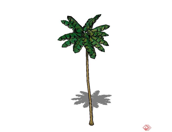经典的椰子树植物素材设计SU模型(2)