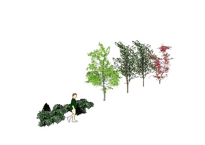 五种不同的景观树木植物素材设计SU(草图大师)模型