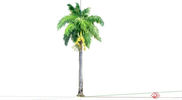 手绘棕榈植物设计SU模型(1)