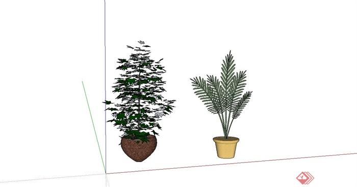 精致盆景植物设计SU模型(1)