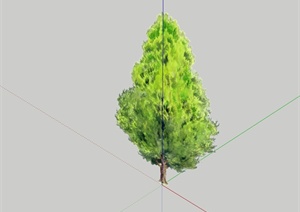 单棵2d手绘树木植物设计SU(草图大师)模型