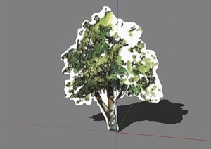2d手绘树木植物素材设计SU(草图大师)模型