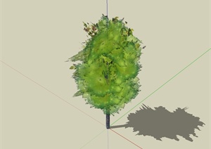某详细手绘树木素材设计SU(草图大师)模型