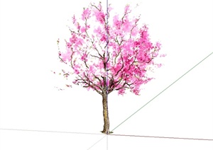 2d手绘植物树木素材设计SU(草图大师)模型