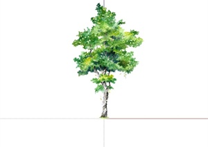 单棵2d手绘树木植物设计SU(草图大师)素材模型