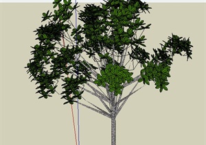 一棵绿树植物素材SU(草图大师)模型