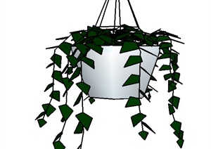 经典挂式盆栽植物素材SU(草图大师)模型