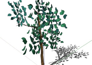 一棵树木素材SU(草图大师)模型