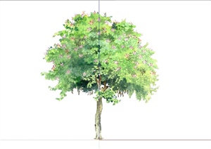 某园林景观手绘树木植物设计SU(草图大师)素材模型