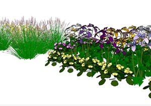 地被观赏草、小花植物素材SU(草图大师)模型