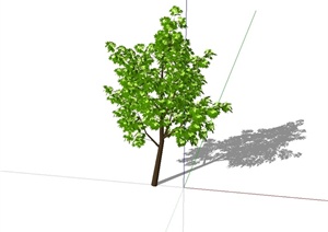 某精细树木植物素材设计SU(草图大师)模型