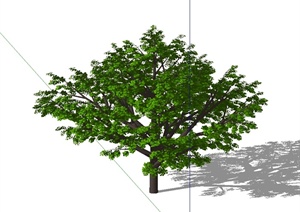 某完整详细的树木植物素材设计SU(草图大师)模型