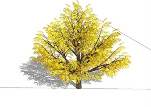 一棵完整的精细树木素材设计SU(草图大师)模型