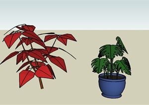 简约盆景植物设计SU(草图大师)模型