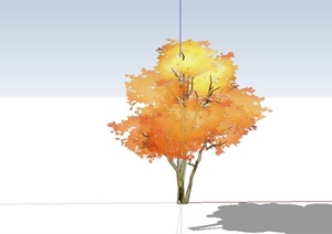 色叶树设计SU(草图大师)模型