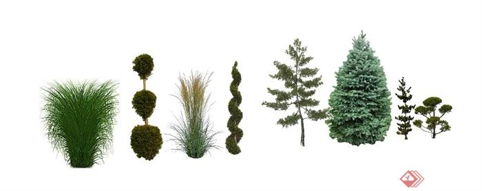 8款2D树木植物素材SU模型(1)
