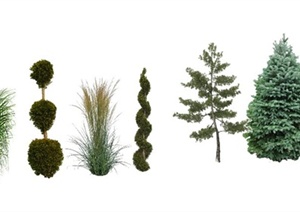 8款2D树木植物素材SU(草图大师)模型