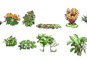 14款景观植物SU(草图大师)素材模型