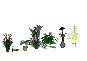 盆景植物设计合集SU(草图大师)模型