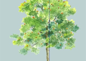 手绘2D绿树植物SU(草图大师)素材模型