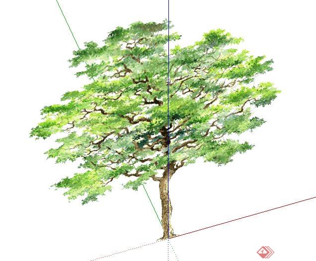 2D树木手绘植物su素材模型(2)