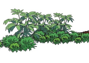 小草植物素材SU(草图大师)模型