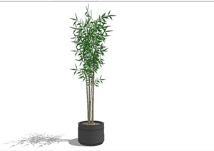 精细盆栽植物设计SU(草图大师)模型