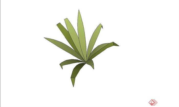 简约草本植物设计SU模型(2)
