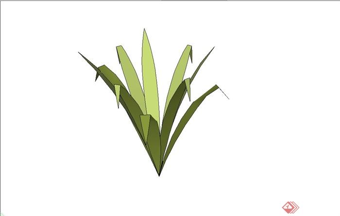 简约草本植物设计SU模型(1)