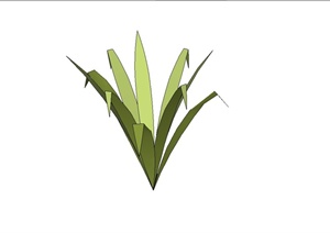 简约草本植物设计SU(草图大师)模型