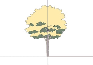 简单的手绘2d树木植物设计SU(草图大师)素材模型