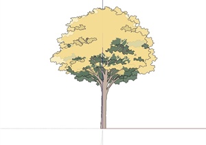 简单的手绘单棵树木植物设计SU(草图大师)素材模型