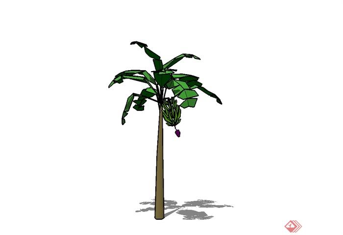 经典单棵芭蕉树素材设计SU模型(1)
