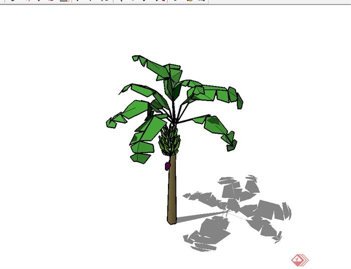 经典单棵芭蕉树素材设计SU模型(2)