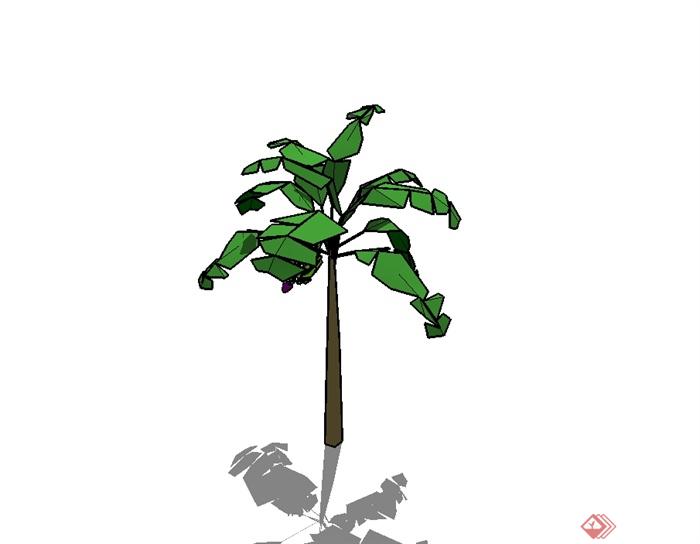 经典单棵芭蕉树素材设计SU模型(3)