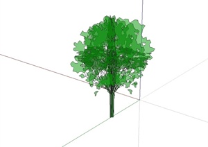某经典详细单棵绿色树木素材SU(草图大师)模型