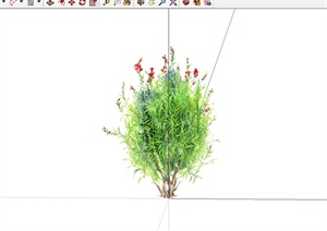 某详细的2d手绘植物素材设计SU(草图大师)模型