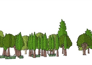 景观树木植物SU(草图大师)素材模型
