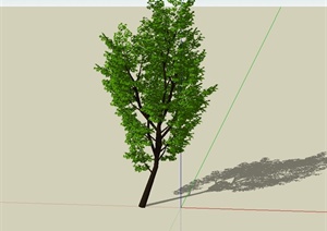 园林景观精细树木素材设计SU(草图大师)模型