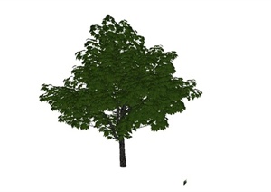 某精致乔木植物素材设计SU(草图大师)模型