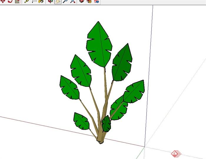 某芭蕉树经典素材设计SU模型(1)