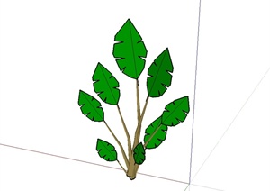 某芭蕉树经典素材设计SU(草图大师)模型