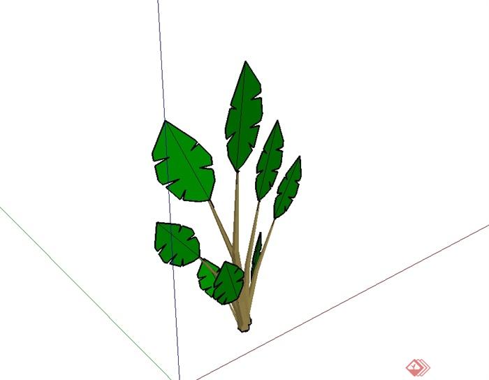 某芭蕉树经典素材设计SU模型(2)