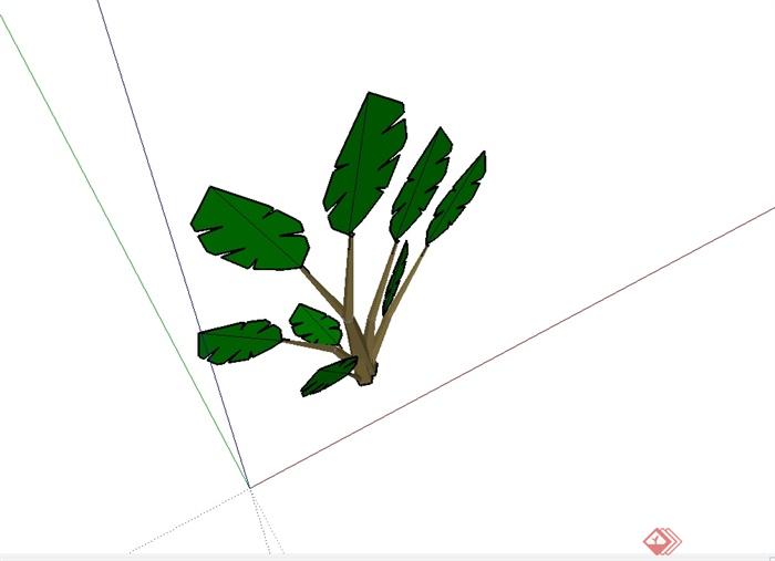 某芭蕉树经典素材设计SU模型(3)